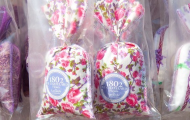 Deko, © UBG, Alexandra Bernhardt