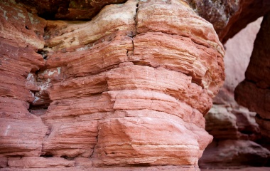 Natur, © UBG, Alexandra Bernhardt