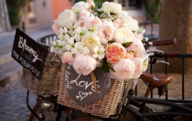 Blumen, © UBG, Alexandra Bernhardt