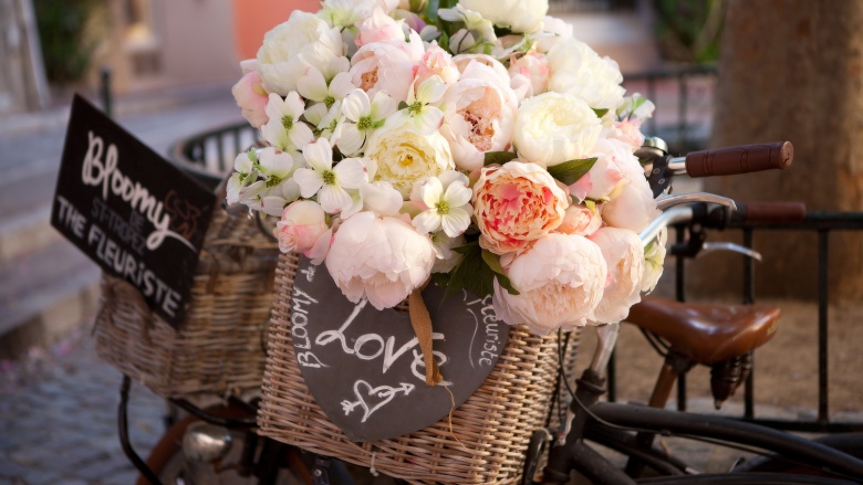 Blumen, © UBG, Alexandra Bernhardt