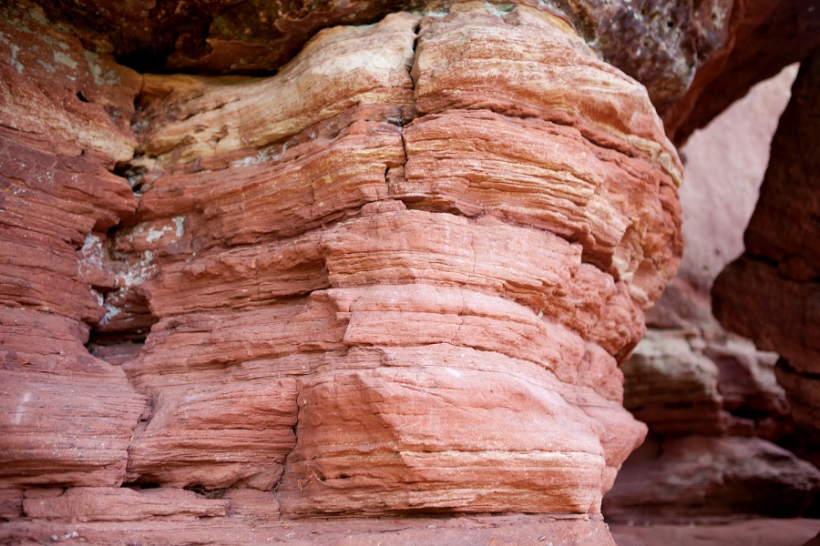 Natur, © UBG, Alexandra Bernhardt