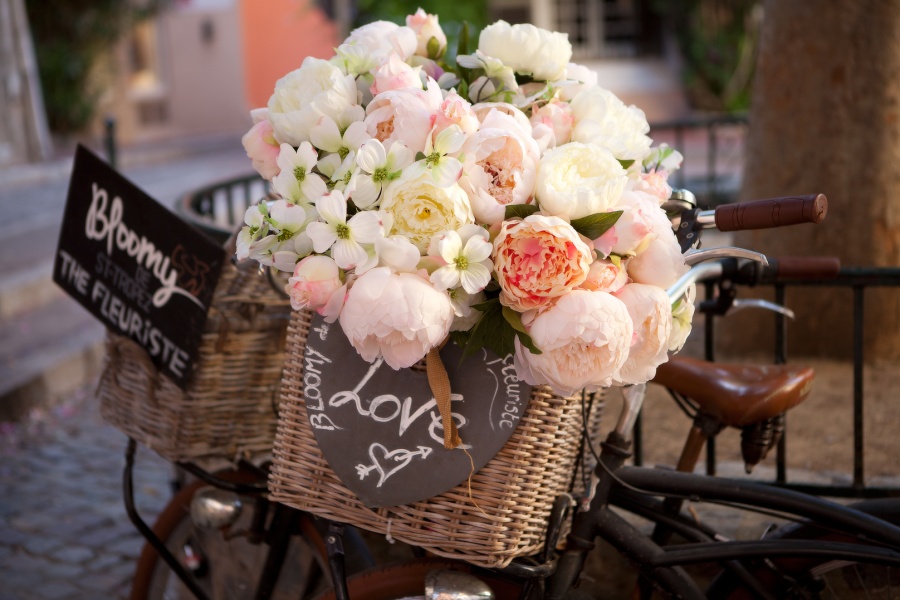 Blumen, © UBG, Alexandra Bernhardt