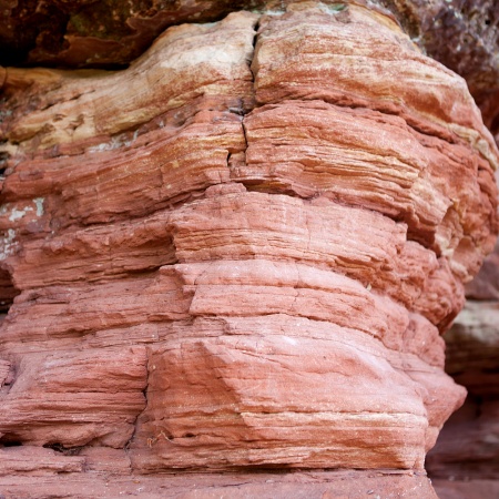 Natur, © UBG, Alexandra Bernhardt