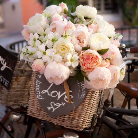 Blumen, © UBG, Alexandra Bernhardt